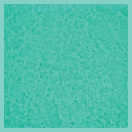 Global Glove Chemical Resistant Gloves, 13 in L, 16 mil, 1 PR 516-9(L)